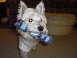 Maggie with her toy.